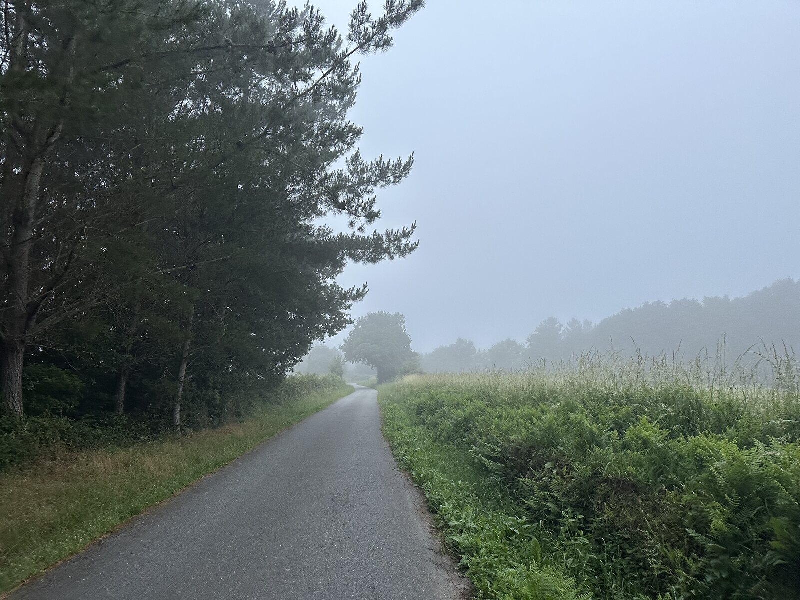 霧裡的公路