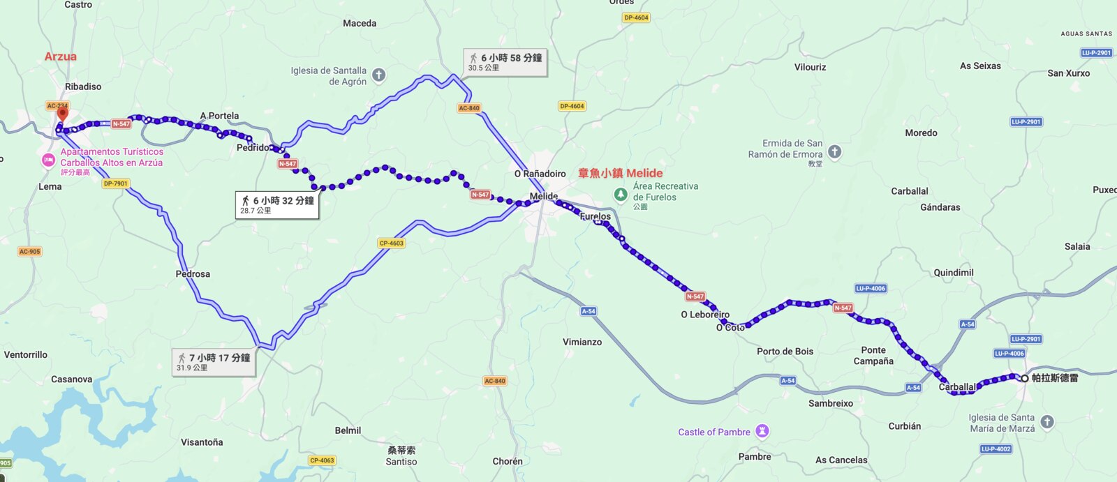 今天的路線：從右下角的 Palas de Rei 往西北走到左上角的 Arzúa，28.7 公里，中間會經過章魚小鎮 Melide。
